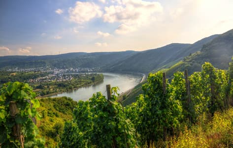 El precioso valle medio del Rin