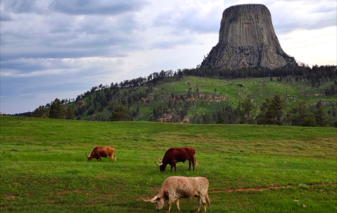 Devils Tower es una de las atracciones más impactantes del oeste americano