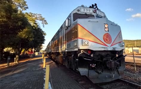 Viaje en tren organizado y con guía por las grandes ciudades de la costa este americana