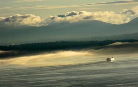 Vista desde la Space Needle, Seattle