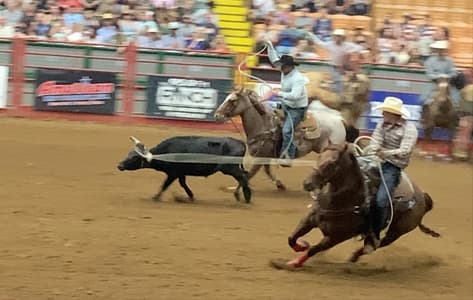 Vamos a ver un auténtico rodeo en Wyoming